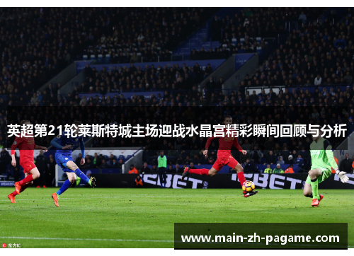 英超第21轮莱斯特城主场迎战水晶宫精彩瞬间回顾与分析