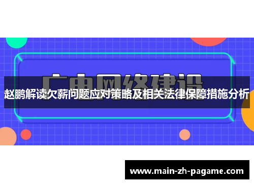 赵鹏解读欠薪问题应对策略及相关法律保障措施分析