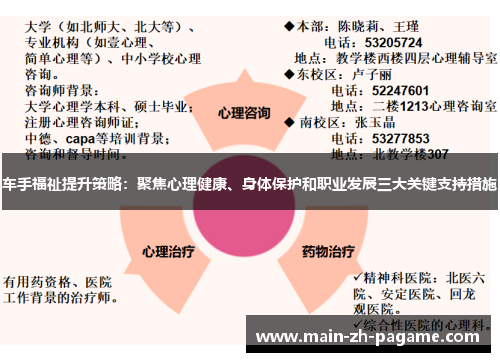 车手福祉提升策略：聚焦心理健康、身体保护和职业发展三大关键支持措施