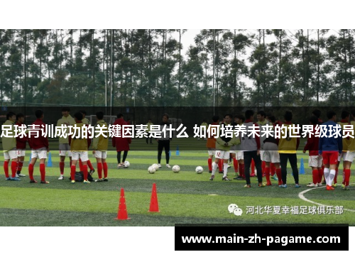 足球青训成功的关键因素是什么 如何培养未来的世界级球员
